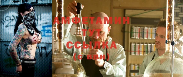 ГАЛЛЮЦИНОГЕННЫЕ ГРИБЫ Алзамай