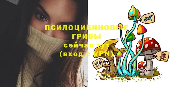 дживик Алексеевка