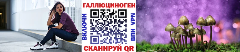 Галлюциногенные грибы GOLDEN TEACHER где продают наркотики Чаплыгин